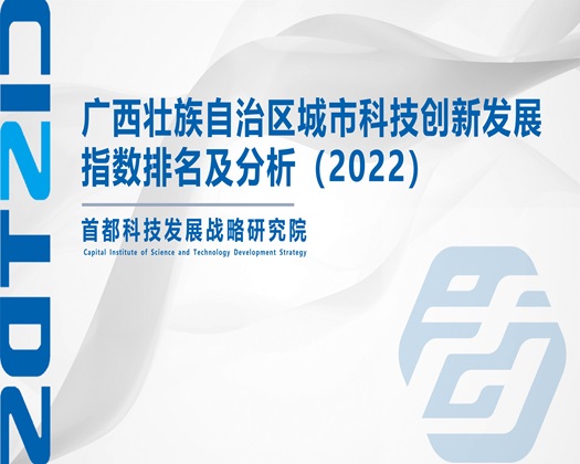 用力艹我的逼【成果发布】广西壮族自治区城市科技创新发展指数排名及分析（2022）